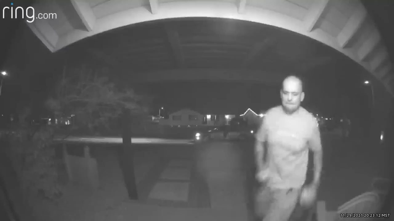 Porch Pirate Barnacle Bill Steals Christmas Outfit from Tempe Porch