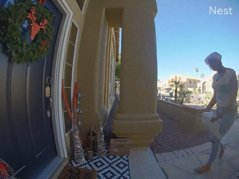 Porch Pirate Carol the Cannon Ford Steals Toys from Phoenix Home