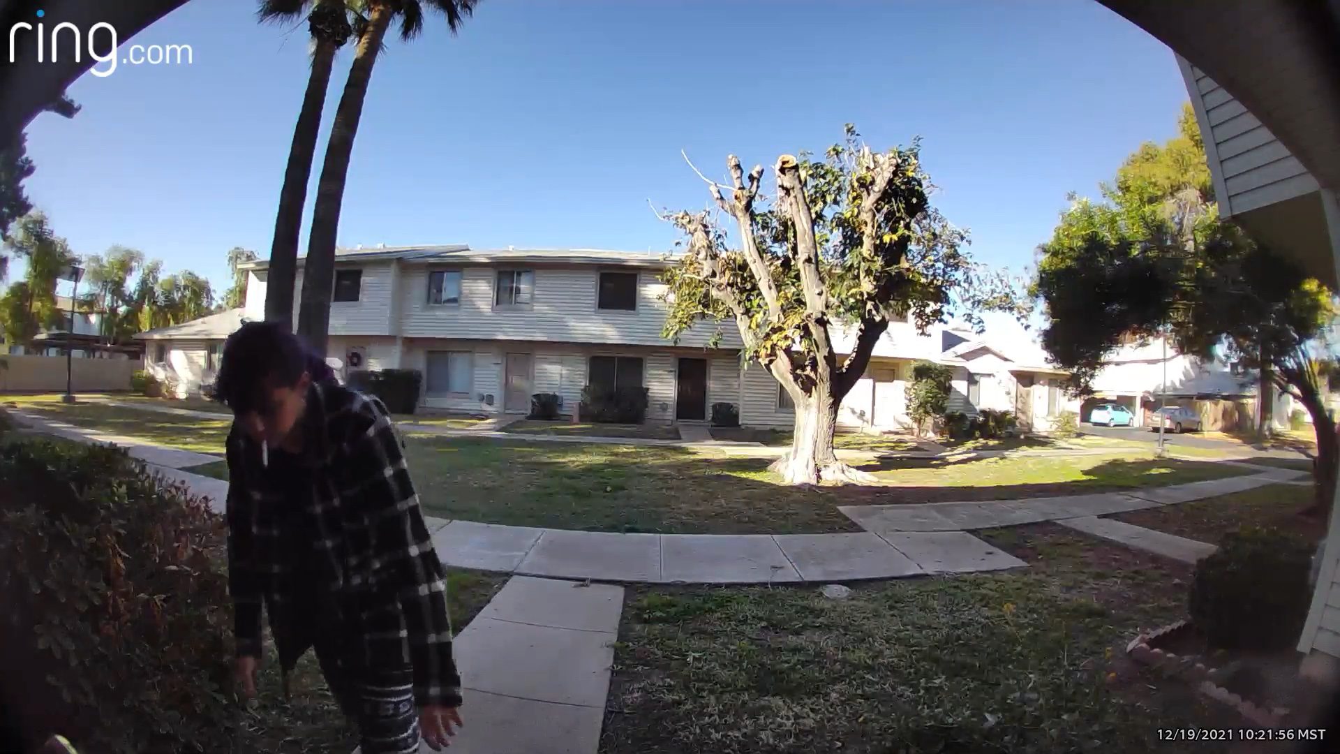 Porch Pirate Purple Polly Steals Hundreds in Packages from Tempe Home