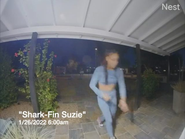 Porch Pirate Shark-Fin Suzie Hits Same Phoenix Home Twice!