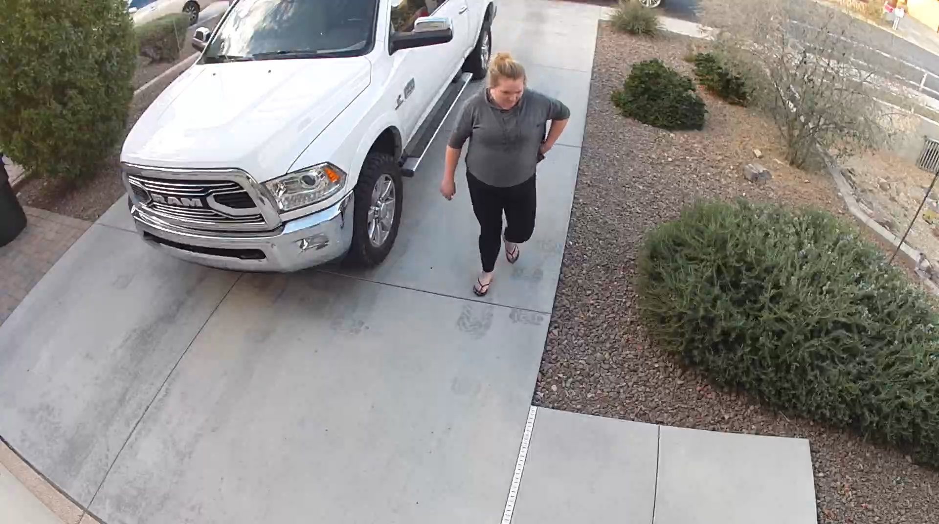 Porch Pirate Silvertooth Sally Helps Herself to Phoenix Resident’s Package