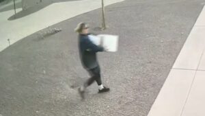 Porch Pirate Alena the Dagger Steals Multiple Packages from Scottsdale Home