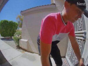Porch Pirate Andy the Anchor Steals Birthday Gifts from Phoenix Home